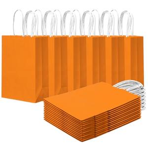 qiqee 24PCS Small Gift Bag with Handles Bulk 8.3"x6"x3" Gift Bags Salmon Bags Multiple Uses (Small Size)