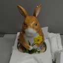 Certified International Easter Garden 3-D Bunny Cookie Jar, 64 Ounces, Multicolored
