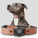 Premium Leather AirTag Dog Collar, 100% Waterproof & Reflective Dog Collar with AirTag Holder Compatible with Apple Air Tag | Durable, Comfortable Padded GPS Dog CollarsMahogany Brown-XL