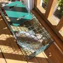 HOMESTEAD 2-Pack Live Animal Trap - Specialized for Raccoons, Opossums, Groundhogs, Skunks, Feral Cats, Squirrels - Heavy Duty Steel Traps, 1-Door, Green, Humane Catch & Release Animal Trap,89-302