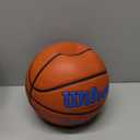 Wilson Evolution Basketballs (Size 7 - 29.5", Royal/Brown)