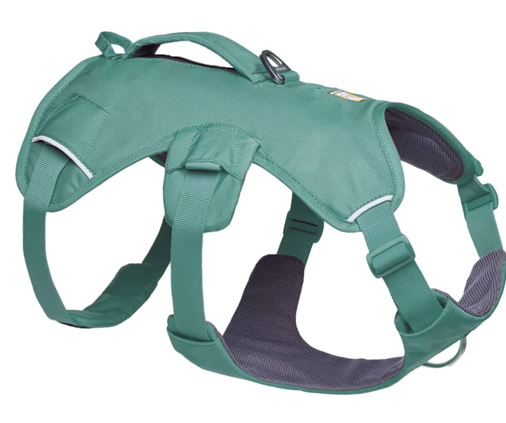 Ruffwear, Web Master, Multi-Use Support Dog Harness, Hiking and Trail Running, Service and Working, Everyday Wear, River Rock Green, Small