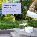 LifeStraw Home Water Filter Pitcher, 10-Cup, White, BPA Free Designed for Everyday Protection Against Bacteria, parasites, microplastics, Lead, Mercury, PFAS and a Variety of Chemicals