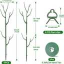 Yhtpouqe 4 Pack Plant Support Stakes, Plant Stakes for Indoor and Outdoor Plants. 28inch Plant Sticks with Extension Poles, Plant Clips, Plant Ties for Potted Monstera Plants, Climbing Plants (Green)