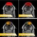 Led Brake Tail Light Smoked Taillights with Turn Signal Compatible with Honda CBR600RR 2003-2006, CBR1000RR 2004-2007