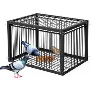 Pigeon Trap Cage Bird Traps for Small Birds with One-Way Entry Trapping for Quail Chicks Doves Feral Cat Pigeon Coop