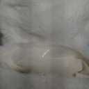 23.6" & 4.5 lbs Gray Cat Weighted Stuffed Animals for Comfort, Cuddly & Soft Kids' Plush Toy Pillows for Companion, Large Plushies with Removable Ceramsite Bag, Gifts for Adults, Kids, Boys and Girls