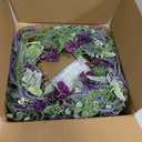 Purple Wildflower Spring Wreath for Front Door, 24 Inch Artificial Door Wreath with Green Leaves, All-Season Farmhouse Wreath for Easter Home Indoor Outdoor Porch Wall Decoration Housewarming Gift