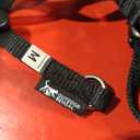 Houdini Escape Proof Cat Harness and Leash Set by OutdoorBengal – Black, Medium Cat Harness for Walking, Size: M/L