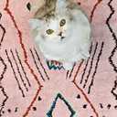 jinchan 2x6 Runner Rug Pink Washable Modern Boho Rug Geometric Hot Nerd Floor Cover Soft Low Pile Non Slip Accent Mat Lightweight Cozy Throw Carpet for Kitchen Bathroom Laundry Room Study Dorm