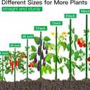 Garden Stakes 57 Inch, Approx 5ft Steel Plant Stakes 25 Pack for Gardening and Farm, 57" Plastic Coated Plant Support for Tomato, Cucumber, Bean, Flower, Potted More Climbing Plants
