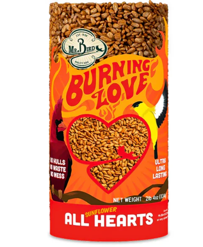Burning Love Wild Bird Seed Cylinder (1-Pack)