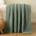BATTILO Sage Green Throw Blanket, Fuzzy Soft Green Throw Blankets, Warm Lightweight Knit Blanket for Bed, Sofa, Spring Home Decor, 50"x60"