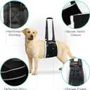 LumoLeaf Dog Lift Harness Sling for Back Legs, Adjustable Rear Leg Support & Mobility Aid, Hip Support for Senior/Disabled Dogs, Soft Fleece Lining, Padded Handles, for CCL/ACL Surgery (Black, Medium)