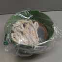 Hanging Planters for Indoor Plants, 2 Pack 10 Inch Self Watering Hanging Pots for Plants with Drainage Holes, Indoor Outdoor Hanging Flower Pots for Home Garden Ceiling Decor (Green)