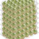 Hedume 7 Pack Cupcake Containers, 24 Counts Stackable Plastic Cupcake Boxes with Detachable Lid Perfect for Cupcakes, Muffin, BPA-free