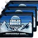 Cooler Shock Reusable Ice Packs for Cooler - Long Lasting Cold Freezer Packs for Coolers and Lunch Boxes - Cooler Ice Packs for Camping Gear, Fishing, Road Trips, Beach Must Haves, 3-pac