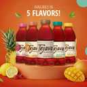 Tejava Original Unsweetened Black Iced Tea, 12 Pack, 16.9oz PET Bottles, Non-GMO, Kosher, No Sugar or Sweeteners, No calories, No Preservatives, Brewed in Small Batches (EXP 09/03/27)