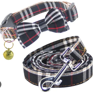 Elegant little tail Dog Collar with Bow, Bowtie Dog Collar and Leash, Adjustable Fall Dog Collar and Leash Dogs, Small