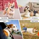 Reusable Dog Diapers Female Large Washable, Premium Doggie Diaper for Dogs, Pack of 3, Highly Absorbent Dog Diaper for Heat, Incontinence and Puppy Training(L)