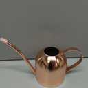 E.Palace Watering Can for Indoor Plants, 30oz Long Spout Stainless Steel