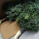 2.6FT Artificial Boxwood Bush Topiary Trees with Spike Eazy to Push in The Ground Faux Shrubs for Outdoor/Indoor Decor 2 Pack