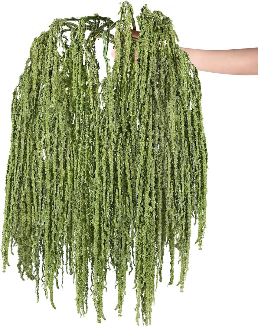 Suncalla 12 Pcs Bright Green Spring Natural Dried Amaranthus Hanging Flowers Amaranthus Artificial Flowers for Wedding Arch Bouquet Floral Garland Wall Home Decoration (23 Inch)