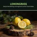 Car Air Freshener Hanging 2 Pack, Lemon Grass Scent Essential Oil Diffuser Long Lasting Up to 150 Days, Cute Car Accessories with 2 Vent Clip for Women Men Gift, Odor Eliminator