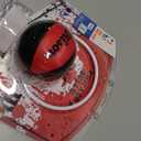 Wilson NBA Team Mini Hoop Chi Bulls Red