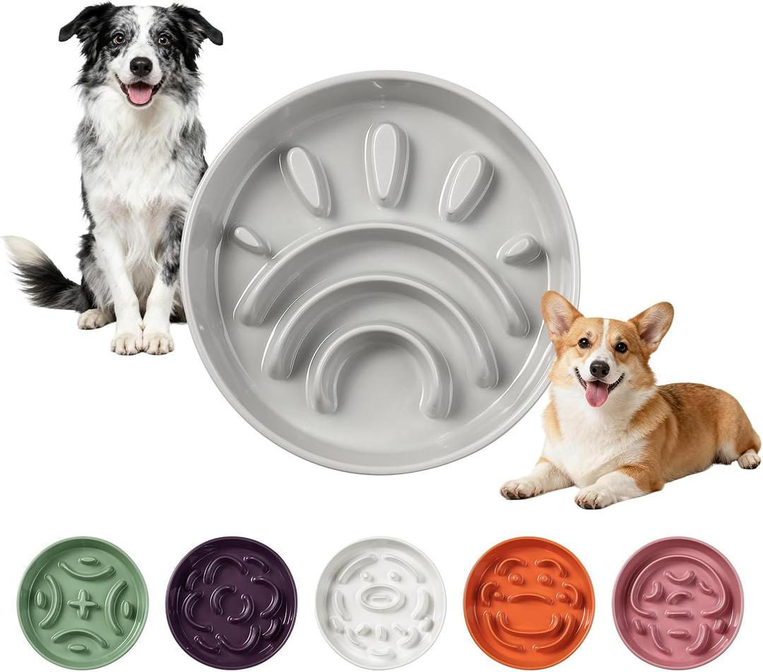Elevated Slow Feeder Dog Bowl - Ceramic Maze Dog Food Bowl with Stainless Stand - Raised Slow Feeder for Small Breeds to Control Eating Speed - 6.3 Inch - 0.8 Cups (80g) - Gray