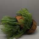 2 Set Fake Ferns with Hanging Baskets, UV Resistant Fake Hanging Ferns Plants, Outdoor Artificial Hanging Plants for Front Porch Garden Balcony Patio Home Decor, No Assembly (Green X 2)