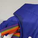 2-in-1 Baby Jumper Swing, Door Jumper for Baby with Adjustable Strap, 6 Months and Up (Blue)