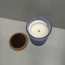 Chesapeake Bay Candle Medium Jar Scented Candle Serenity + Calm (Lavender Thyme) Home Dcor Orange Gifting Idea Burn Time of 50 Hours