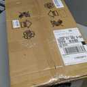 Vintage Table Lamp for Bedroom Set for 2 Mid Century Bedside Lamp with USB A and C Ports with Globe Shade Gold Night Stand Lamp for Office Living Room Reading Entryway