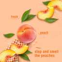 Febreze Plug In Air Freshener, Odor-Fighting Scented Oil Refill, Air Fresheners for Home and Bathroom and Kitchen, Long Lasting for Strong Odors, Lilac and Peach Scent, 0.87oz Refills, 4 Count