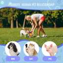 Pet Snuffle Ball, Puzzle Sniffing Interactive Dog Ball for Blind Dogs Training Stress Relief Dog Enrichment Toys Treat Machine Washable (Rainbow Color Upgrade, 10cm)