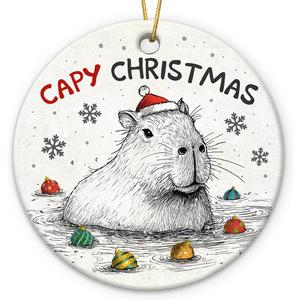 2 x Capybara Ornament 2025  Funny Animal Lovers, Cute Ceramic Ornament for Women, Men & Friends, Unique Capybara Decor for Tree Decoration or Gift Exchange