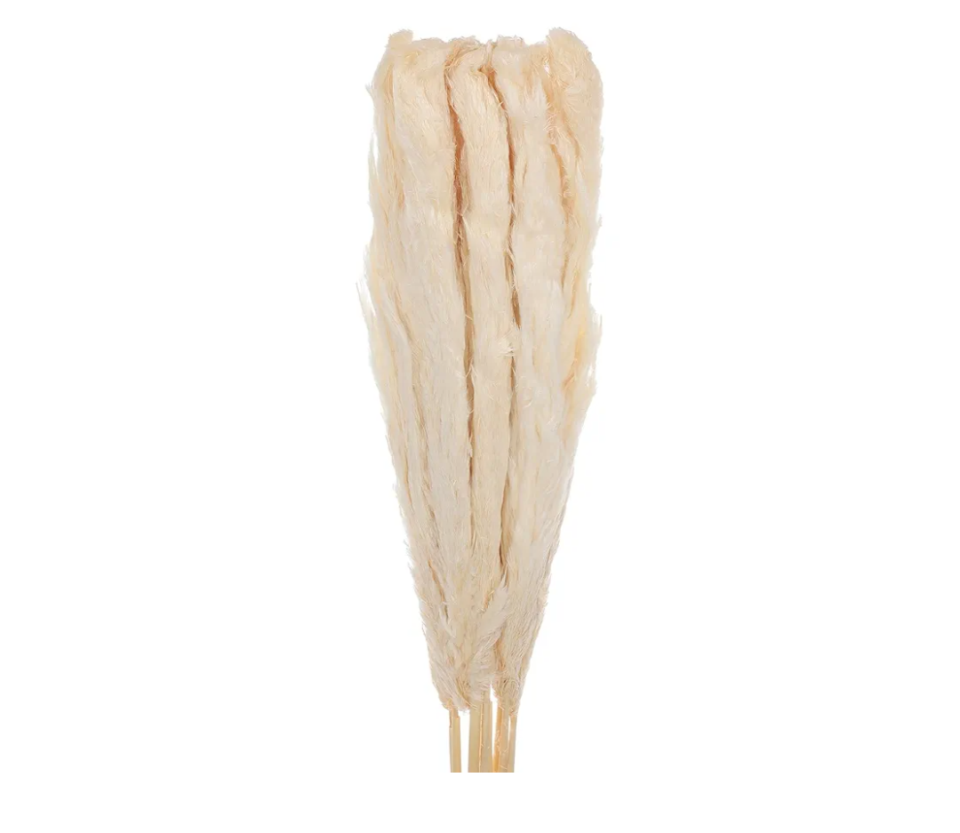 MECCANIXITY 10pcs Natural Rabbit Bunny Tails Dried Flowers 40" Mini Pampas Grass Lagurus Ovatus Bunch for Floral Wedding Decor Christmas, White