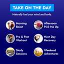 Zipfizz Daily Energy Drink Powder, Variety Pack, 15 Pack | 3-in-1 Sustained Energy, Rapid Hydration, and Essential Vitamins | Sugar-Free | Electrolyte Powder | Contains Vitamin B-12 & Antioxidants