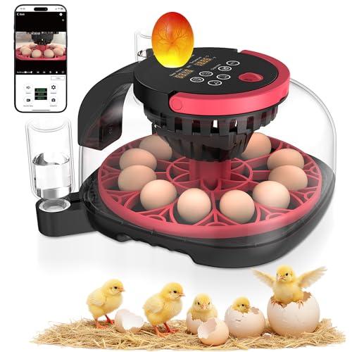 Caifunway Incubators for Hatching Eggs with Automatic Egg Turning and Humidity Control, HD Camera Record with APP Control, Dual Band Wi-Fi, 12 Egg Capacity, for Chicken Duck Pigeon Quail