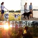 2 x Tactical Dog Collar and Leash - Thick Military K9 Collar - Includes Matching Bungee Leash - Adjustable, Army Grade Nylon Khaki, Control Handle and Heavy Duty Metal Buckle for Dog (Army, L)