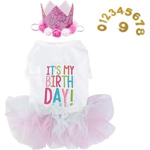 ANIAC Dog Birthday Dress and Hat Set Puppy Lace Tutu Pink Pet Crown Hat with 0-9 Figures Birthday Outfit for Cats Dog (White+Pink,Medium)