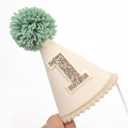 Green 1st Birthday Decoration Set - Wild One Tassel High Chair Banner,Green Forest Theme Cake Topper,Jungle Safari First Birthday Hat,Nature Party Decoration Photo Props