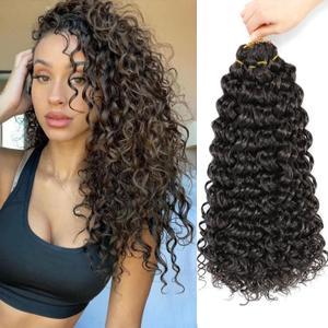 GoGo Curl Crochet Hair 12Inch 6packs Water Wave Crochet Hair GoGo Curl Crotchet Braiding Hair (12 Inch (Pack of 6), 4)