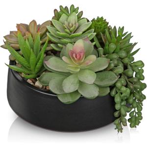 DILATATA Artificial Succulent Plants in Pot 5.5 Inch Fake Succulents Arrangement Potted Plant in Black Ceramic Planter Bowl for Home Office Desk Shelf Living Room Bedroom Bathroom Decor