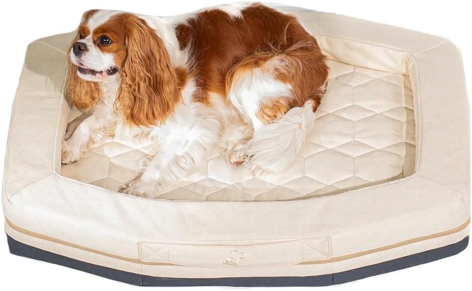 GUNNER Homestead Dog Bed – Orthopedic Memory Foam Pet Bed with Washable Cover, Durable Non-Slip Base, Bolstered Sides for Dogs, Comfortable Indoor Lounger, White, Small