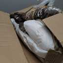 WONGS BEDDING Brown Comforter Set King, 7 Pieces Bed in a Bag Colorful Abstract Art Gradient Comforter Soft Microfiber Bedding with Comforter, Flat Sheet, Fitted Sheet, Pillow Shams, Pillowcases