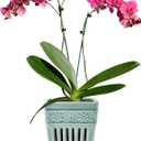 SUADEN Orchid Pots with Holes | 5" Ceramic Orchid Planter with Separate Saucer and Drainage Holes | Crackle Glazed Pottery Small Flower Pot for Repotting Orchids（Blue）