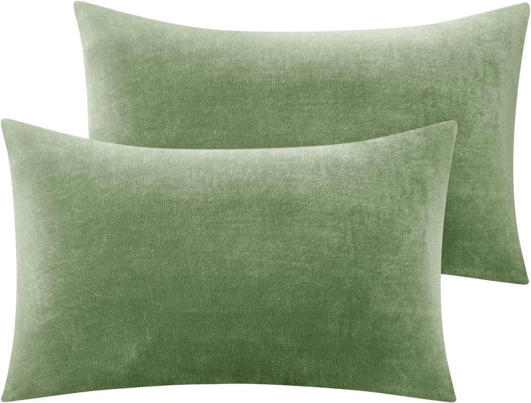 BEDELITE Flannel Pillowcases Standard Set of 2, Super Soft Fleece Pillow Case Cover with Zipper for Bedroom, Sofa, Couch,Luxury Cozy Velvet Pillow Shams for All Seasons(20x12 Inches, Sage Green) BEDELITE Flannel Pillowcases Standard Set of 2, Super Soft Fleece Pillow Case Cover with Zipper for Bedroom, Sofa, Couch,Luxury Cozy Velvet Pillow Shams for All Seasons(20x12 Inches, Sage Green)
