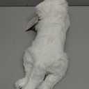 Cat Stuffed Animals Weighted Plush Toy, 19.7" Realistic White Cat Plushie Kawaii Toys Soft Ginger Cat Kitten Doll Gift for Boys Girls Birthday Christmas, 1.1 LBs